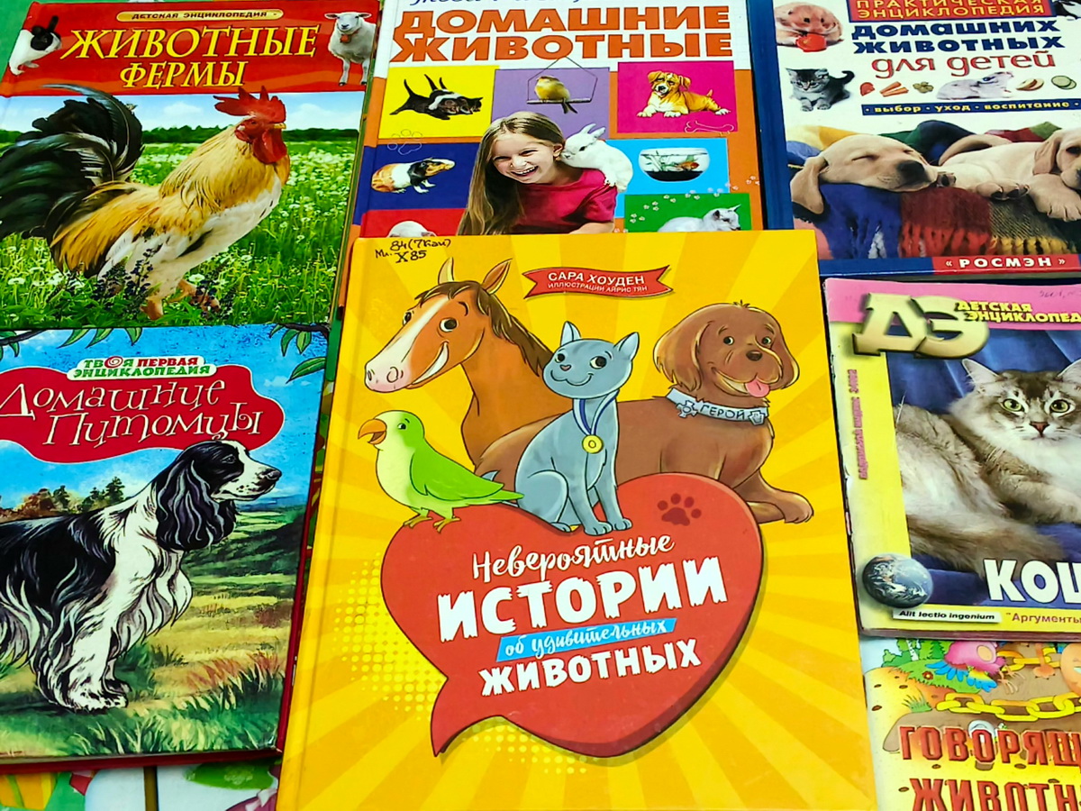 Наши питомцы – наша забота