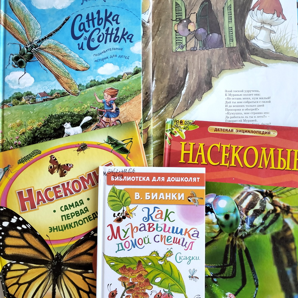 Наши друзья муравьи