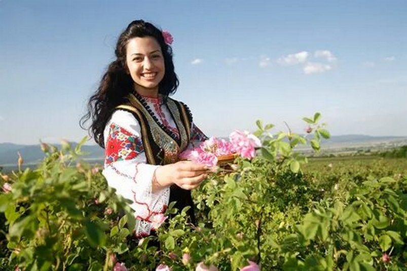 Жители гордой Старой горы и синего Дуная