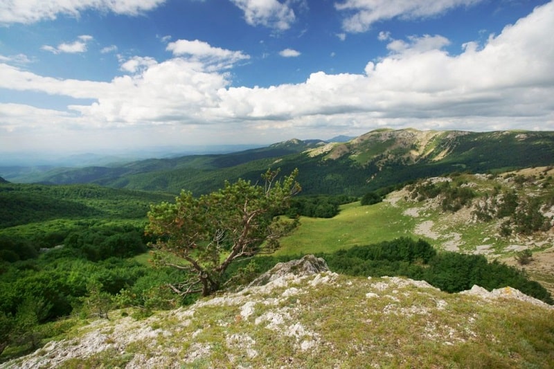 Национальный парк «Крым»