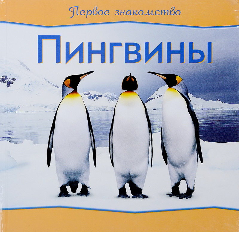 День осведомлённости о пингвинах