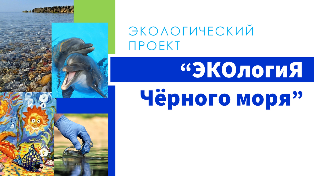 ЭКОлогиЯ Чёрного моря